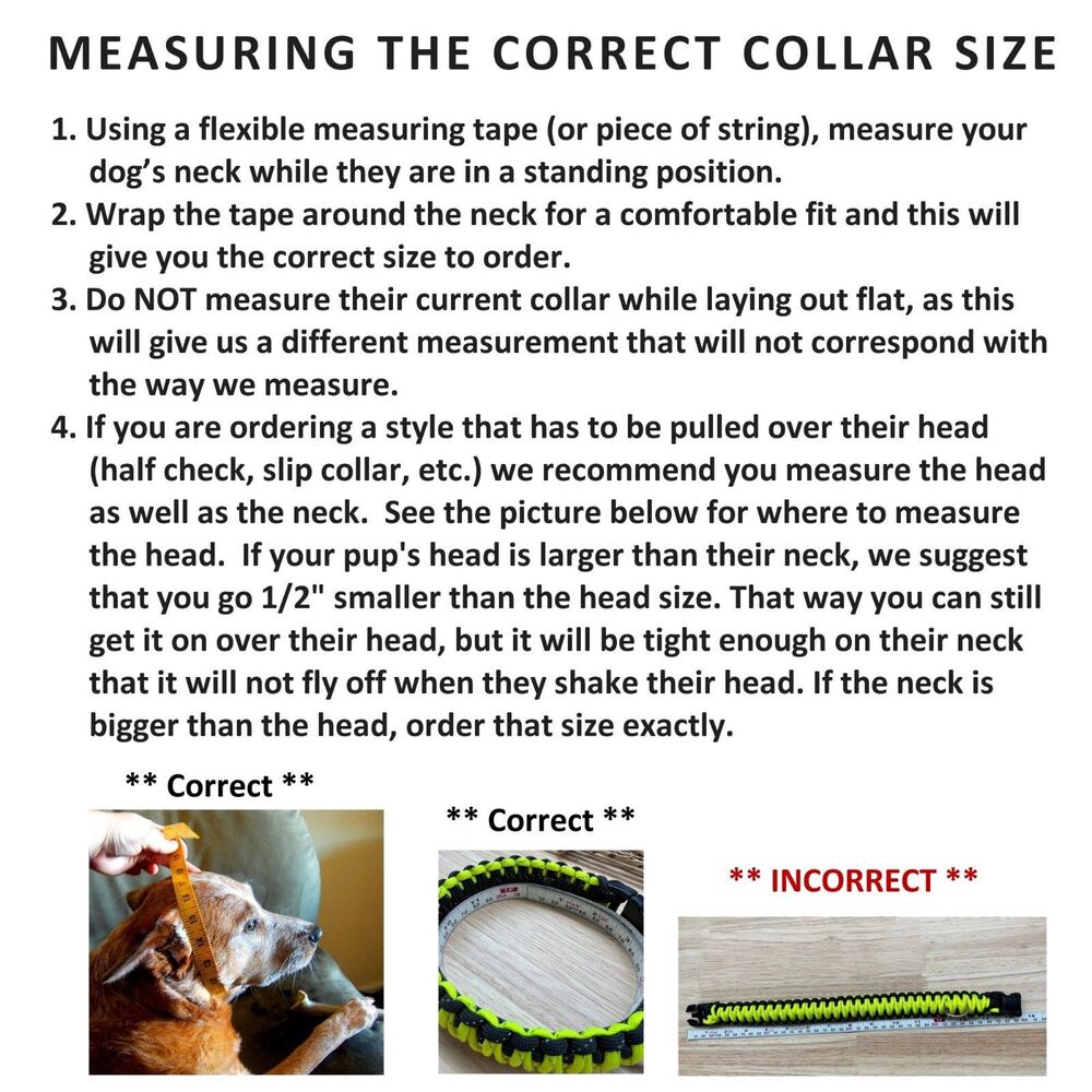 Fits 16.5 in. Neck Size, Diamond Chainmail Paracord Dog Collar HANDMADE NEW - Picture 2 of 2